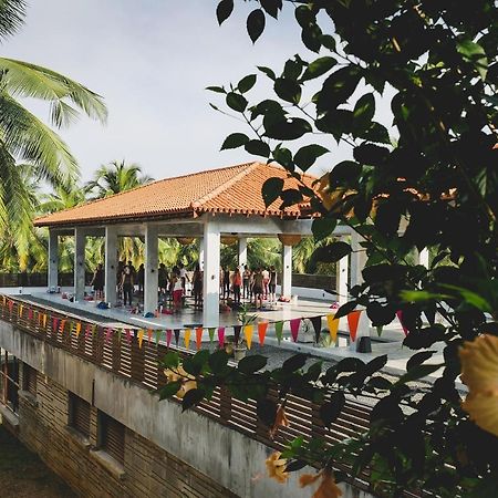 Utmt - Underneath The Mango Tree Spa & Beach Resort Dikwella Eksteriør bilde