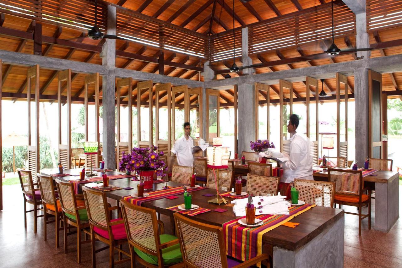 Utmt - Underneath The Mango Tree Spa & Beach Resort Dikwella Eksteriør bilde