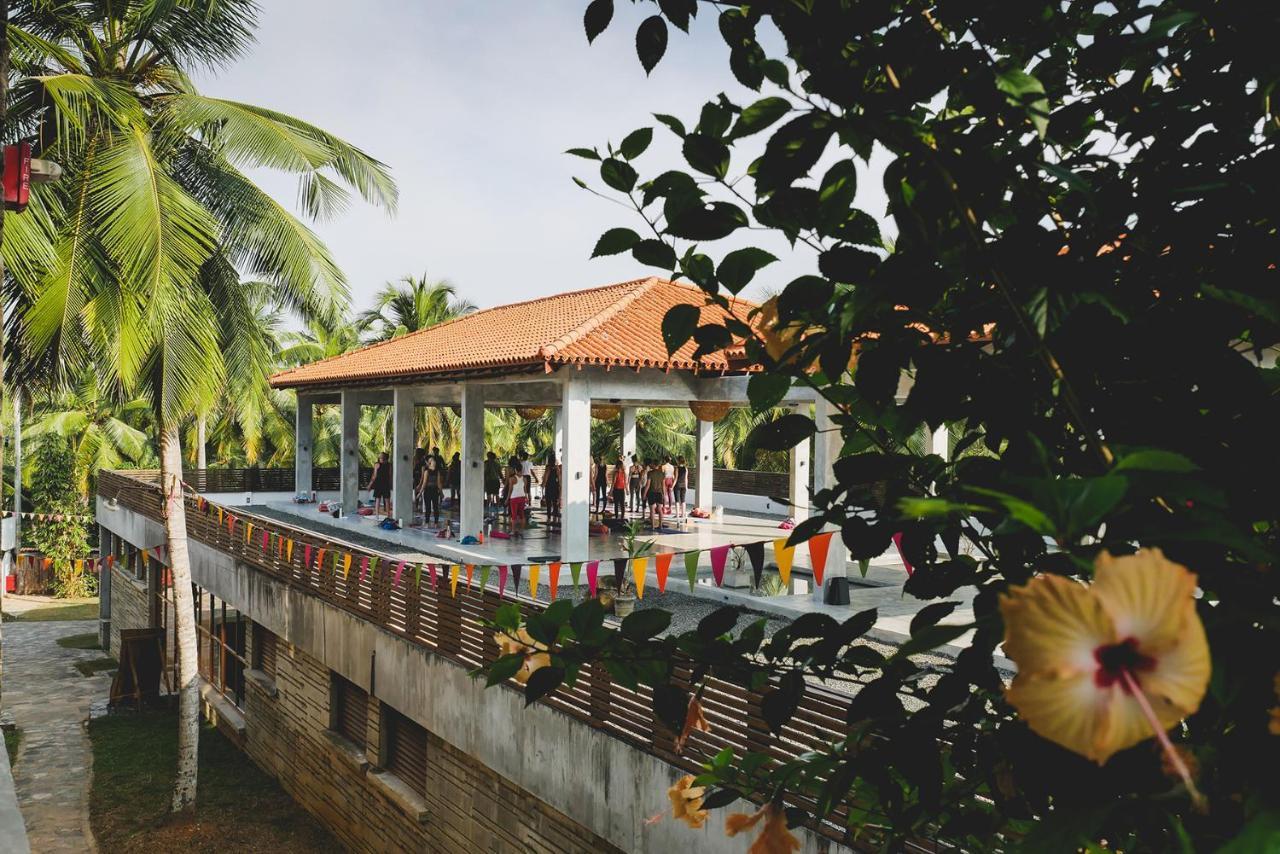 Utmt - Underneath The Mango Tree Spa & Beach Resort Dikwella Eksteriør bilde